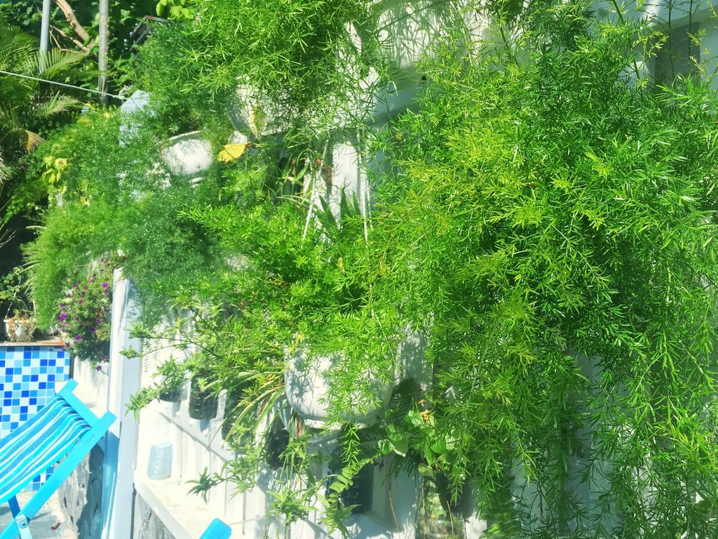 Fusion Villa Χόι Αν Εξωτερικό φωτογραφία